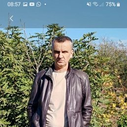 , 55, 