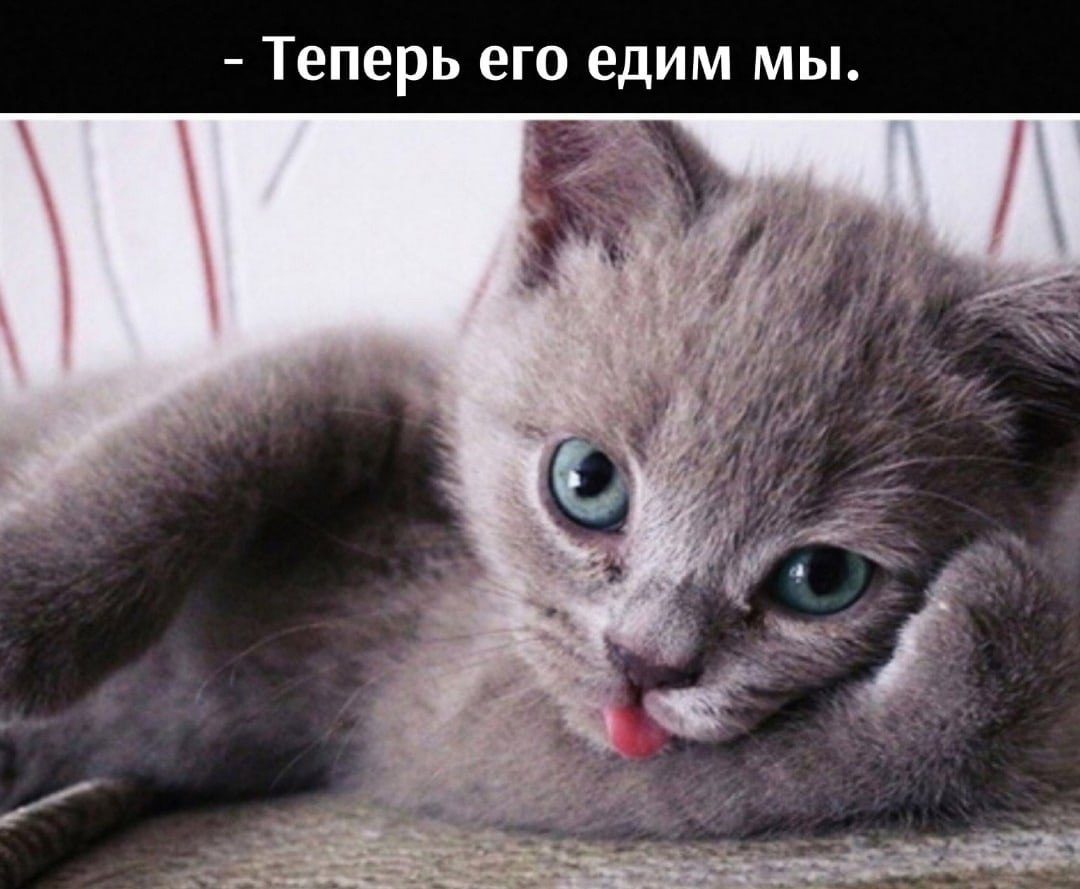       - 15  2025  15:42 - 3