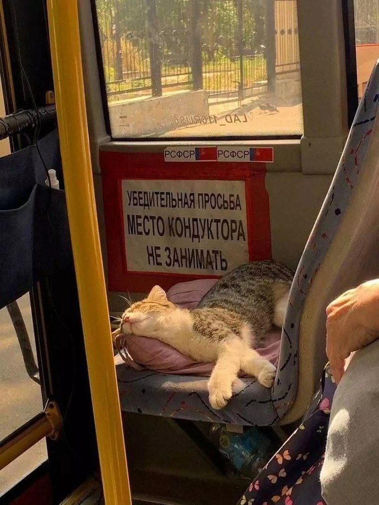   ,   