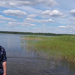 ����, 44 ����, �����