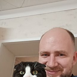 ��������, 31 ���, ����������