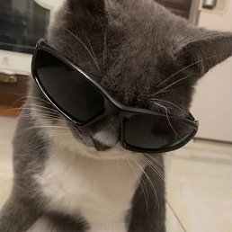 Max, ������