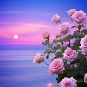 ���� ������ � ����, ������ - ��������� 19 ���� 2024 � ������ ������.�