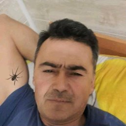 ���� ����, ������, 47 ��� - ��������� 20 ������ 2026