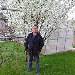 ������, ������, 49 ���