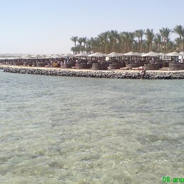 �������, ������, 49 ���