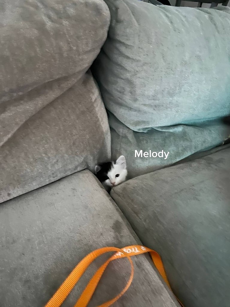     - 8