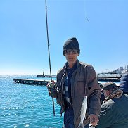 ����, 51 ���, �����������