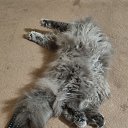 ���� ����, ������ - ��������� 12 ������ 2025 � ������ ������ ��������