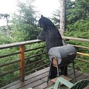 ���� Elvyra, ���������, 65 ��� - ��������� 2 ������ 2024 � ������ ���� ����������