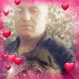 Robi, �������, 55 ���