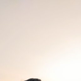 ���� ���������, �����, 44 ���� - ��������� 5 ������� 2025