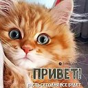 ���� ����, ����� - ��������� 11 ��� 2026 � ������ ������ ��������