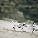 ���� ���������, ���������, 30 ��� - ��������� 24 ������� 2025 � ������ ���� ����������