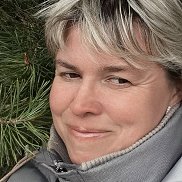 �����, 40 ���, �������