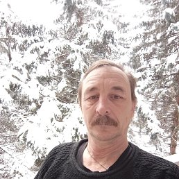 , 53, 