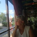 ���� �����, �����������, 41 ��� - ��������� 2 ������ 2024 � ������ ���� ����������