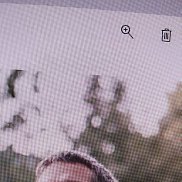 �������, 41 ���, ������ ��������