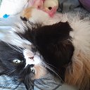 ���� �����, ������-��-����, 50 ��� - ��������� 12 ������ 2025 � ������ ������ ��������