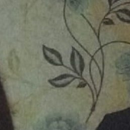 , , 42 