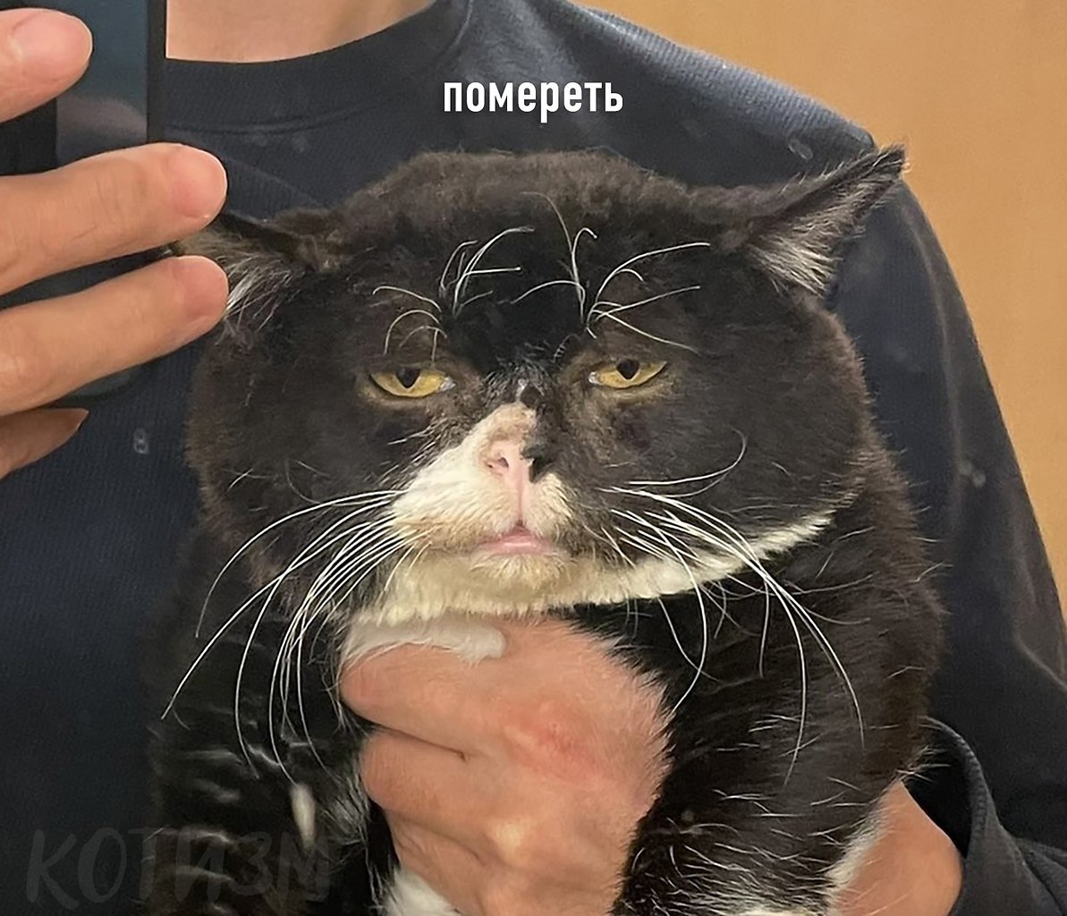 ��������� �� ���� ���) - 4