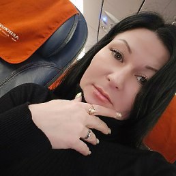 ����, ������, 41 ���