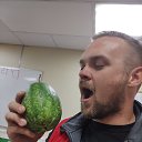 ���� ����, ����, 37 ��� - ��������� 11 ������� 2024 � ������ ���� ����������