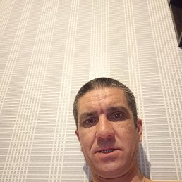 , 40, 