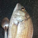 ���� ������, ������, 65 ��� - ��������� 13 ������� 2025 � ������ ������ ��������