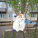 ���� ������, ������, 62 ���� - ��������� 12 �������� 2025 � ������ ���� ����������