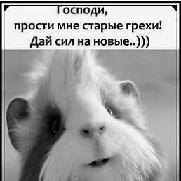 , , 52 
