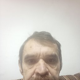 , 59 ,  