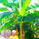 ���� ������, �����, 66 ��� - ��������� 29 ���� 2025 � ������ ���� ����������