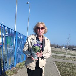 , 52, 