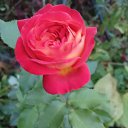 ���� �����, ������, 73 ���� - ��������� 6 ������ 2024