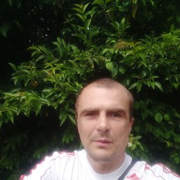 , 40 , 