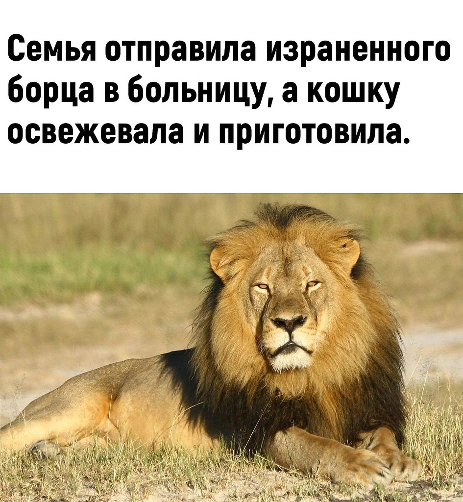    - 3
