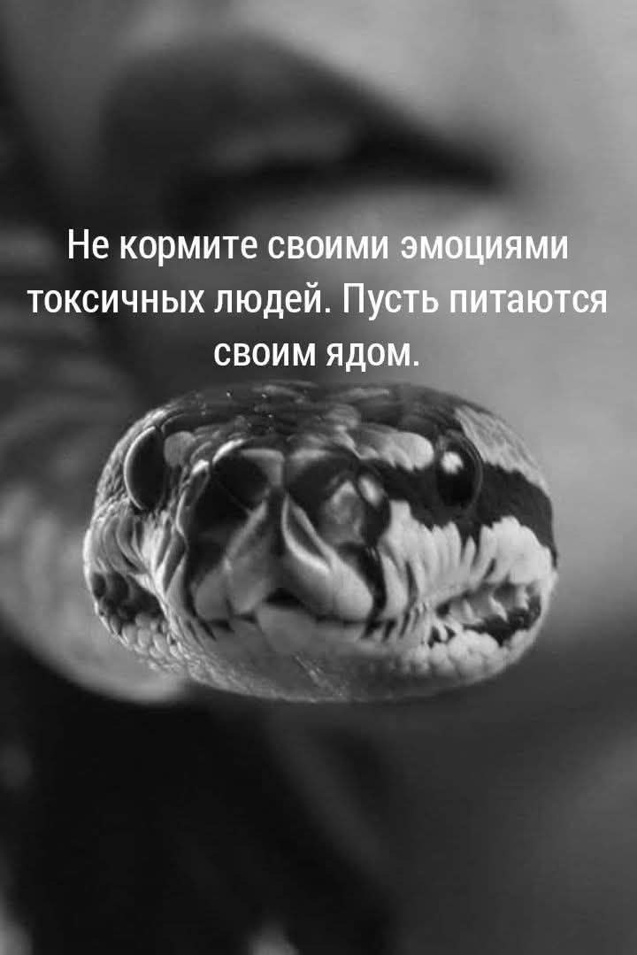  - 5  2025  06:09