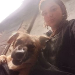 ���� ��������, ������-��-����, 18 ��� - ��������� 19 ������� 2026