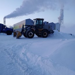 ���� ������, ������, 55 ��� - ��������� 28 ������ 2026