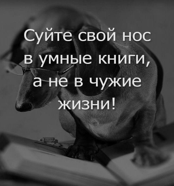  |  |  - 10  2023  03:27