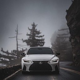 ���� Alex, ������, 36 ��� - ��������� 11 ��� 2026