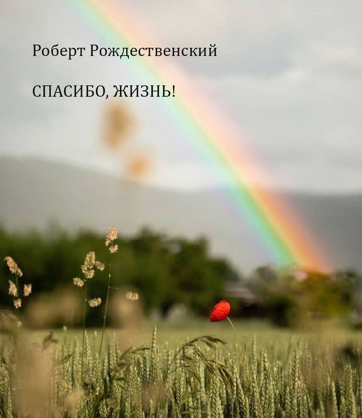 Спасибо, жизнь, за то что вновь приходит день, Что зреет хлеб и что взрослеют дети. Спасибо, жизнь, ...