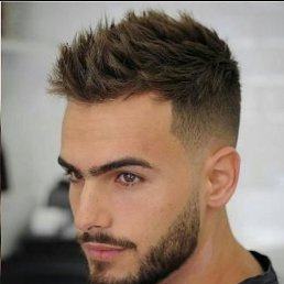 , 24, 