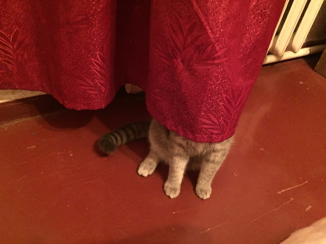 ���� � ������ �� ���� - ������ � ���� ����� �� ����� )))