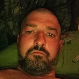 �����, �������, 43 ����