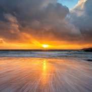 �����, 39 ���, ���������