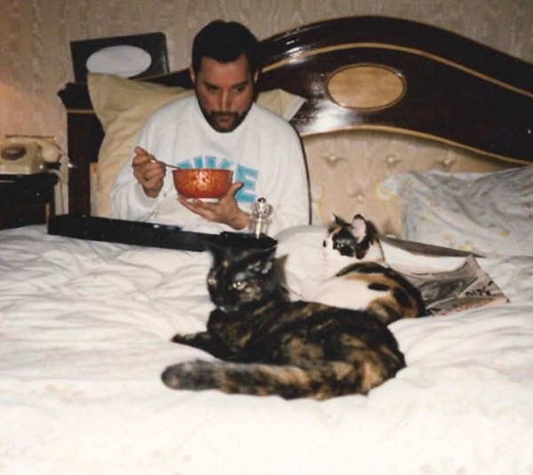 Freddie Mercury � ��� �����, ����� �� ������ ������� �� �������� ����� - 2