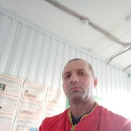 �����, 49 ���, ������