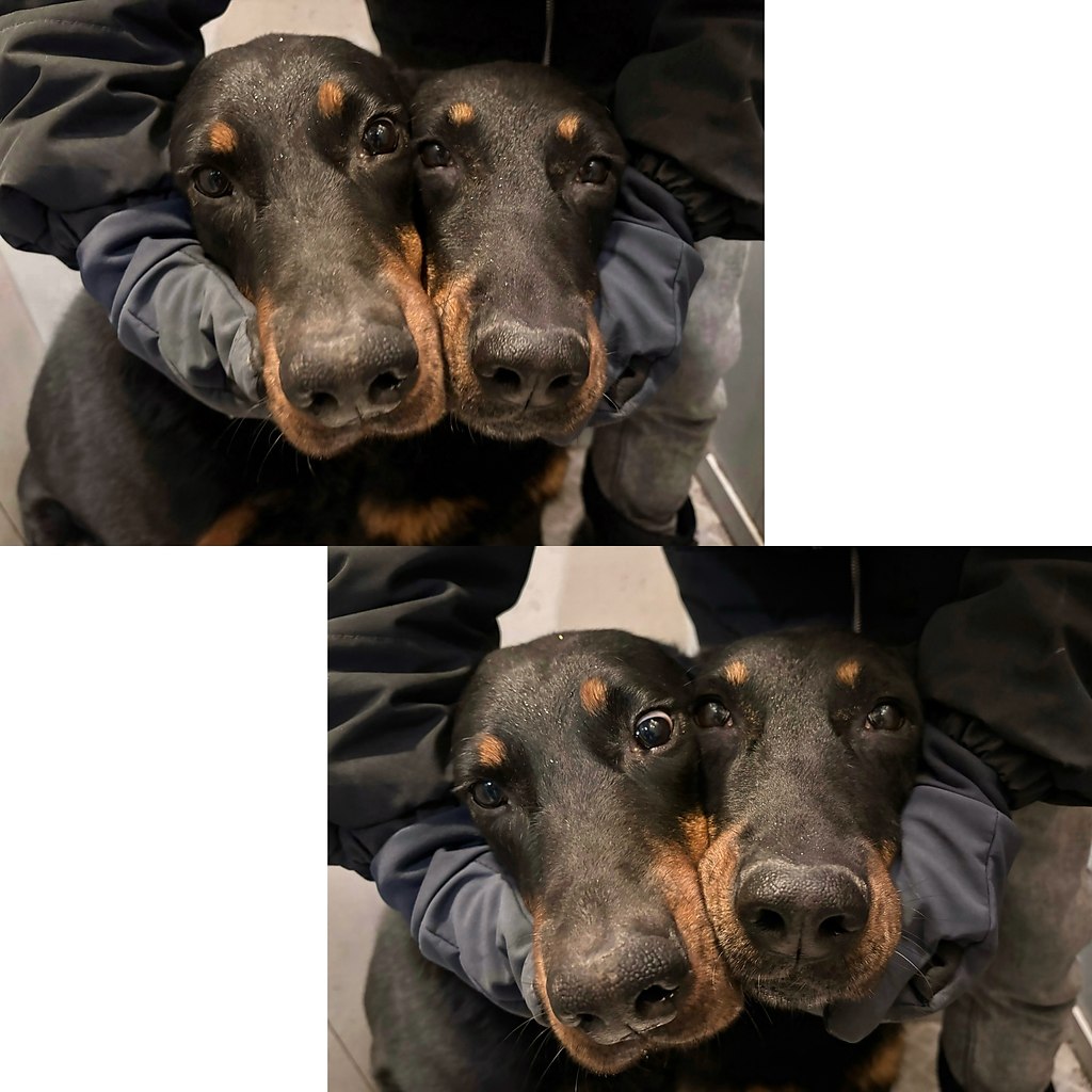 ������ ���������.������� �������� � ���:� ��� ���� ������� ����� ���� �� ���� �� �����? ��� ��� ���� ...